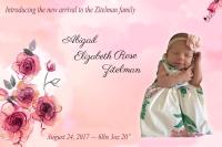 Introducing Abigail Elizabeth Rose Zitelman